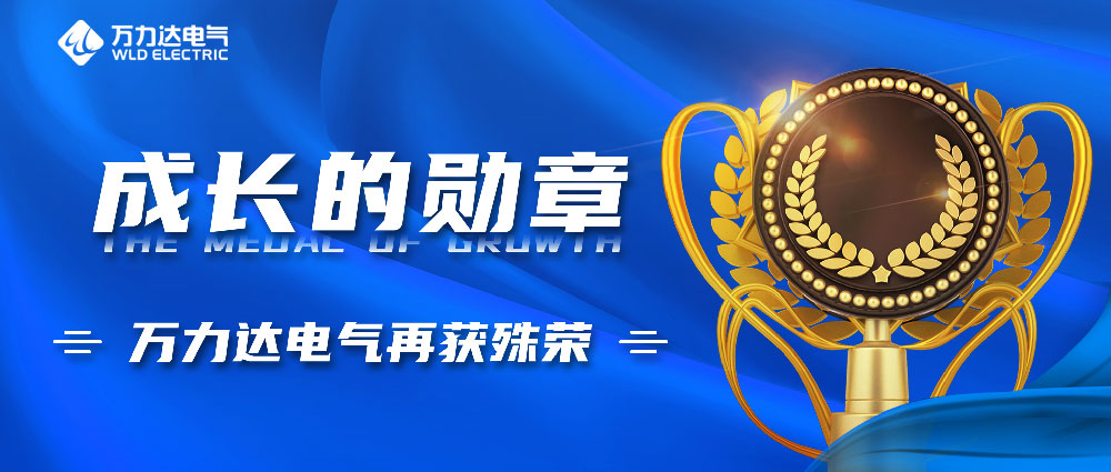 成長(zhǎng)的勛章！萬(wàn)力達(dá)電氣再獲殊榮