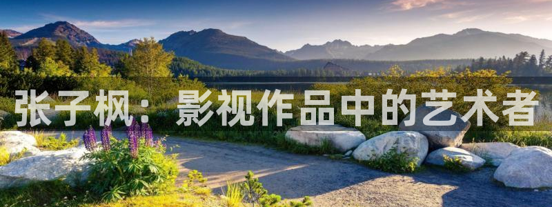 桔子mv電影在線觀看免費：張子楓：影視作品中的藝術者