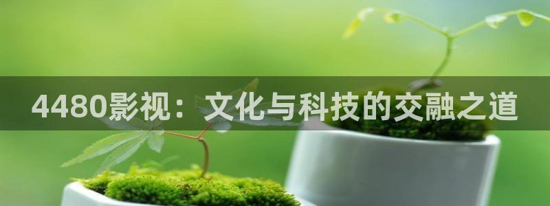 桔子的功效與作用：4480影視：文化與科技的交融之道